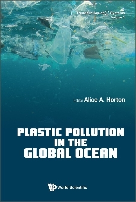 Plastic Pollution In The Global Ocean - 