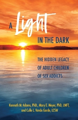 A Light in the Dark - Kenneth M. Adams, Mary  E. Meyer, Culle L. Vande Garde