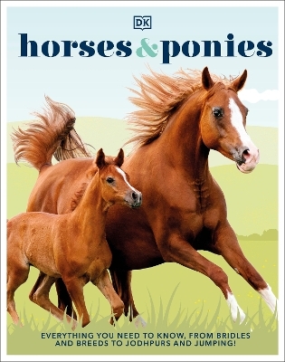 Horses & Ponies -  Dk