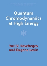 Quantum Chromodynamics at High Energy - Kovchegov, Yuri V.; Levin, Eugene