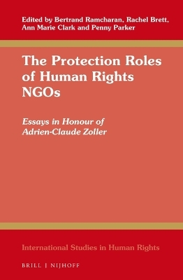 The Protection Roles of Human Rights NGOs - 