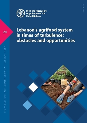 Lebanon's agrifood system in times of turbulence - Amr Khafagy,  Food and Agriculture Organization
