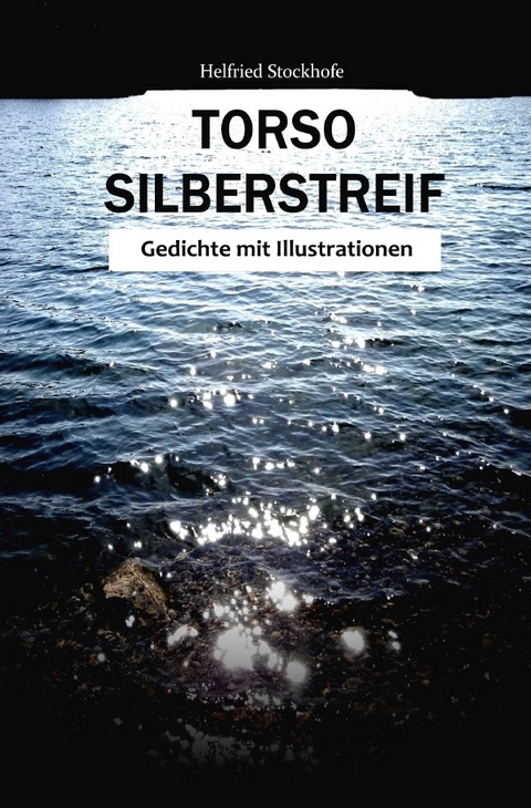 Torso Silberstreif - Helfried Stockhofe