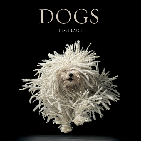 Dogs - Lewis Blackwell