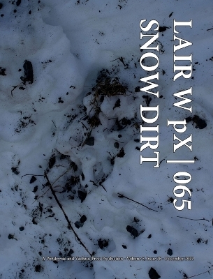 LAIR W pX 065 Snow Dirt -  Wetdryvac