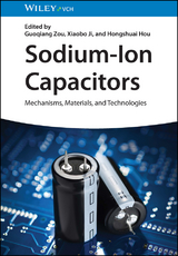 Sodium-Ion Capacitors - 