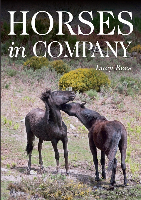 Horses in Company -  Lucy Rees
