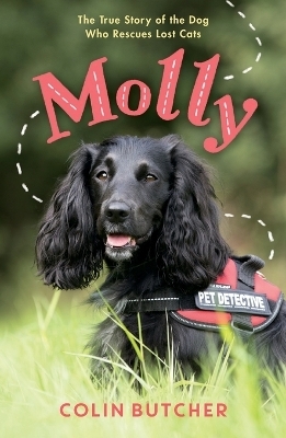 Molly - Colin Butcher