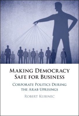 Making Democracy Safe for Busines - Robert Kubinec