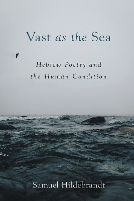 Vast as the Sea - Samuel Hildebrandt