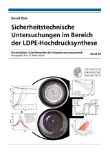 Sicherheitstechnische Untersuchungen im Bereich der LDPE-Hochdrucksynthese - David Zink