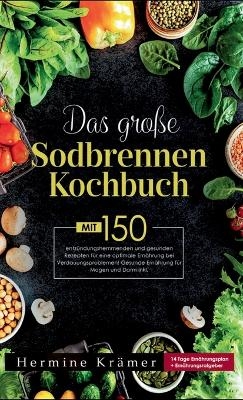 Das große Sodbrennen Kochbuch! Inklusive 14 Tage Ernährungsplan und Nährwerteangaben! 1. Auflage - Hermine Krämer