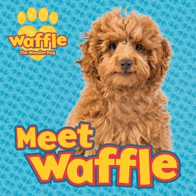 Meet Waffle! -  Scholastic