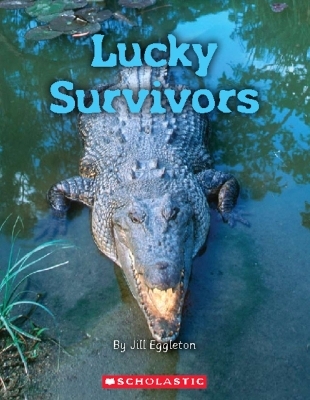 Lucky Survivors - Jill Eggleton