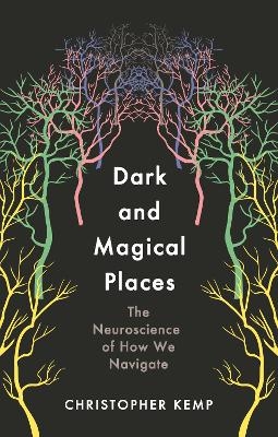 Dark and Magical Places - Christopher Kemp