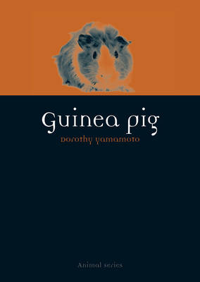 Guinea Pig -  Yamamoto Dorothy Yamamoto