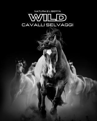 Natura e Libert� WILD Cavalli Selvaggi - Hayden Clayderson