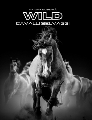 Natura e Libert� WILD Cavalli Selvaggi - Hayden Clayderson