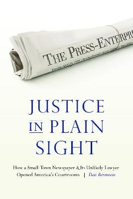 Justice in Plain Sight - Dan Bernstein