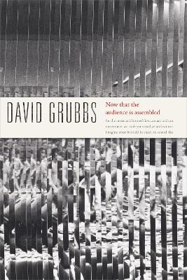 Now that the audience is assembled - David Grubbs