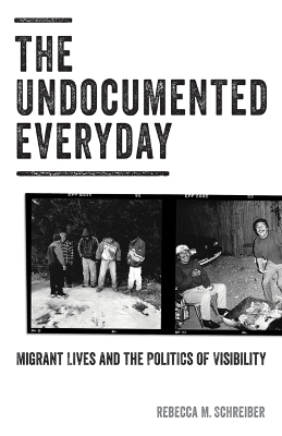 The Undocumented Everyday - Rebecca M. Schreiber