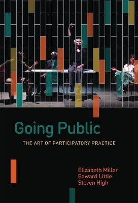 Going Public - Elizabeth Miller, Edward Little, Steven High