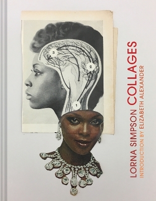 Lorna Simpson Collages - 