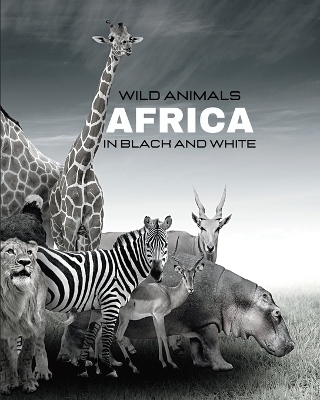WILD ANIMALS - Africa in Black and White - Hayden Clayderson