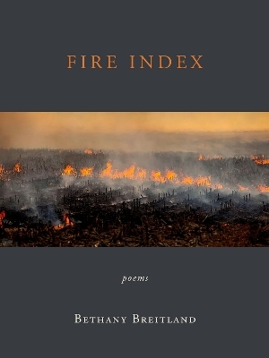 Fire Index - Bethany Breitland