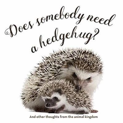 Does Somebody Need a Hedgehug? -  Gibbs Smith Publisher
