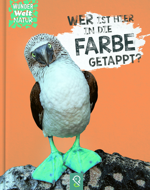 Wer ist hier in die Farbe getappt? - Bobby Kastenhuber