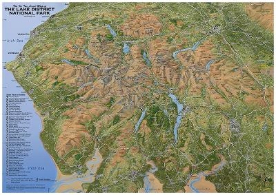 The Fir Tree Aerial Map of the Lake District National Park - Richard Chandler