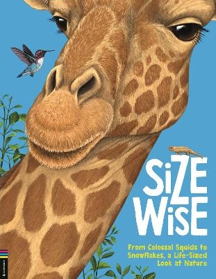 Size Wise - Camilla de la Bedoyere