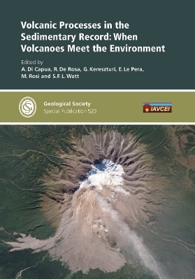 Volcanic Processes in the Sedimentary Record: when Volcanoes meet the Environment - 