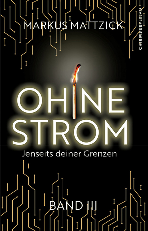 Ohne Strom - Jenseits deiner Grenzen (Band 3) - Markus Mattzick