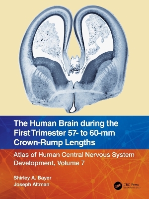 The Human Brain during the First Trimester 57- to 60-mm Crown-Rump Lengths - Shirley A. Bayer, Joseph Altman