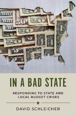 In a Bad State - David Schleicher