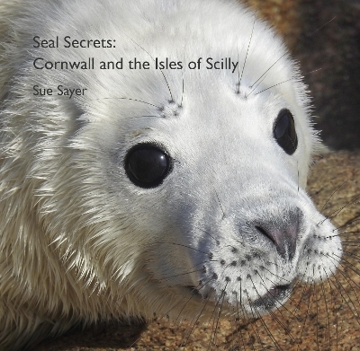 Seal Secrets: Cornwall and the Isles of Scilly - Sue Sayer