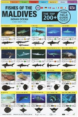 Maldives Fish Field Guide "Top 200+" - Tim Godfrey, Rudie Kuiter