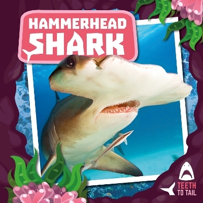 Hammerhead Shark - Robin Twiddy