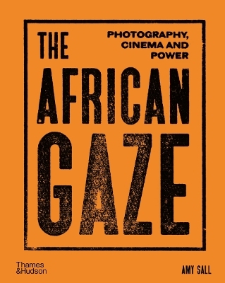 The African Gaze - Amy Sall