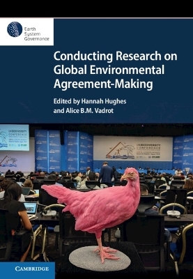Conducting Research on Global Environmental Agreement-Making - 