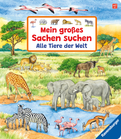 Mein großes Sachen suchen - Susanne Gernhäuser