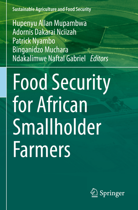 Food Security for African Smallholder Farmers - 