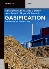 Gasification - Valter Bruno Silva, João Cardoso, Antonio Chavando
