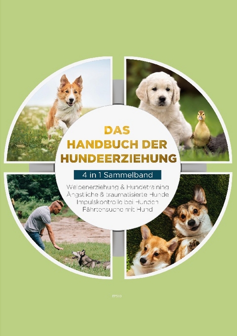 Das Handbuch der Hundeerziehung - 4 in 1 Sammelband: Impulskontrolle bei Hunden | Welpenerziehung & Hundetraining | Ängstliche & traumatisierte Hunde | Fährtensuche mit Hund - Alexander Gietzen