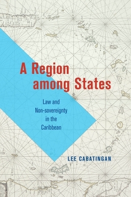 A Region among States - Lee Cabatingan