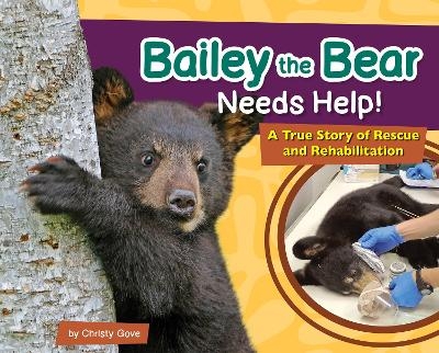 Bailey the Bear Needs Help! - Christy Gove