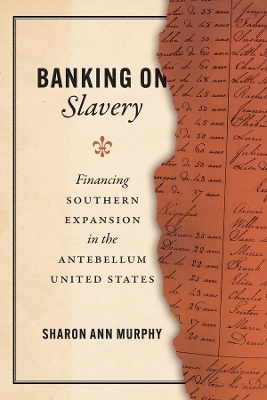 Banking on Slavery - Sharon Ann Murphy