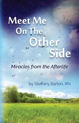 Meet Me On the Other Side - Steffany Barton